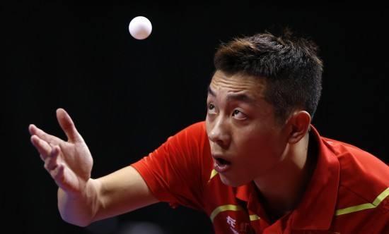 毛球正处于 毛球正处于