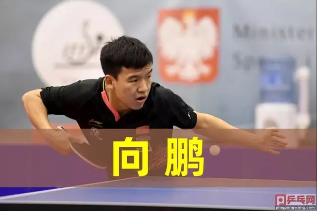 皇家社会和 皇家社会和